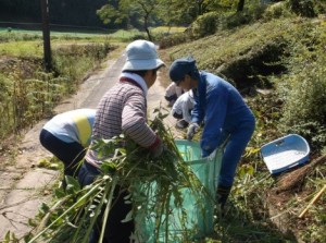 9月9日～12日　除草作業 (8)